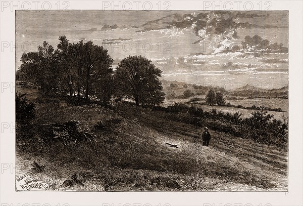 NEAR EVERSHED'S ROUGHâ€îSCENE OF THE FATAL ACCIDENT TO THE LORD BISHOP OF WINCHESTER, 1873