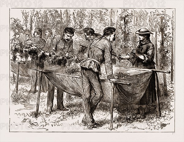 HOP-PICKING AT ALDERSHOTâ€îA MILITARY FLIRTATION, UK, ENGRAVING 1873
