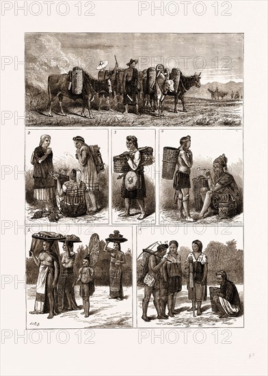 THE BURMESE FRONTIER DIFFICULTY, TYPES OF THE NATIVE TRIBES: 1. Shaus with Loaded Cattle coming from the Mountains. 2. Karens inhabiting the Disputed Territory. 3. Shau leaving Tonghoo for the Mountains. 4. Tounthoos. 5. Burmese going to Bazaar with Fruits for Sale (Unmarried Girl bearing Oranges ; Grandmother bearing Mangoes 3 Grandson carrying Umbrella ; Married Woman with Infant and Jack Fruits). 6. Christian Karens and Gekos. 1875