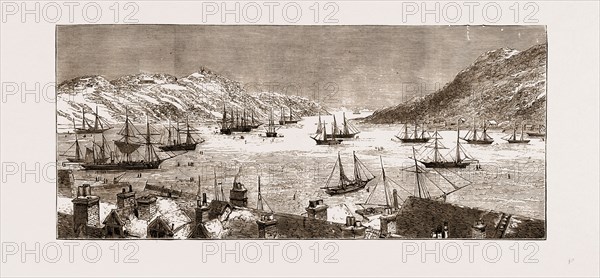 THE SEAL FISHING FLEET IN ST. JOHN'S BAY, NEWFOUNDLAND, 1875