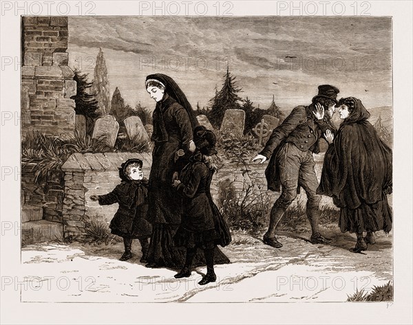 THE LAND AGITATION IN IRELAND: THE WIDOW AND THE ASSASSIN, 1881