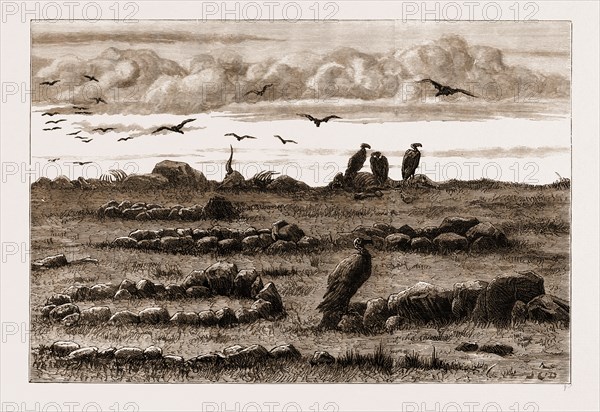 THE RECENT RISING IN THE TRANSVAAL, SOUTH AFRICA: GRAVES ON THE INGOGO HEIGHTS, 1881