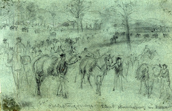 Collecting forage. Escort skirmishing n. Harrison, 1864 October, drawing on blue paper pencil, 14.9 x 23.7 cm. (sheet), 1862-1865, by Alfred R Waud, 1828-1891, an american artist famous for his American Civil War sketches, America, US