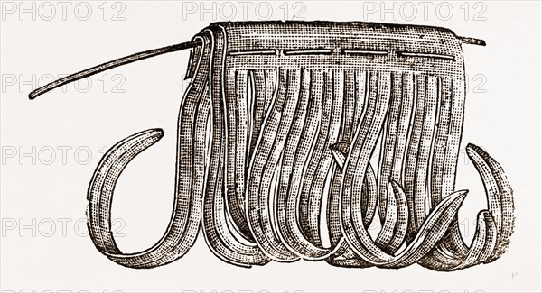 DETAIL OF FEATHER, NEEDLEWORK, 19th CENTURY EMBROIDERY