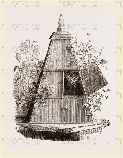 Reaumur's Pyramidal Hive