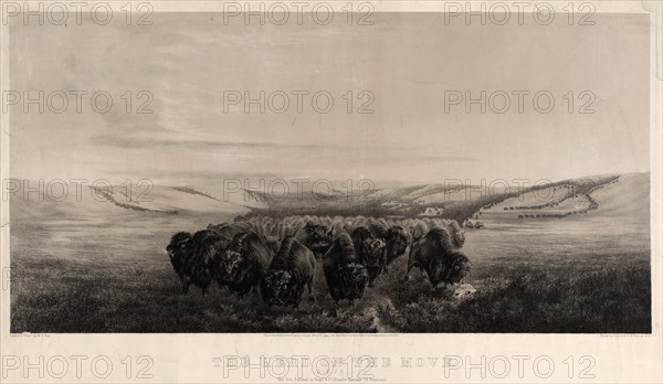 The herd on the move / painted & drawn by W.J. Hays ; printed by Endicott & Co.; Endicott & Co. (New York, N.Y.), lithographer; New York : Goupil & Co., c1862.; 1 print : lithograph ; 26 1/8 x 40 1/2 in.