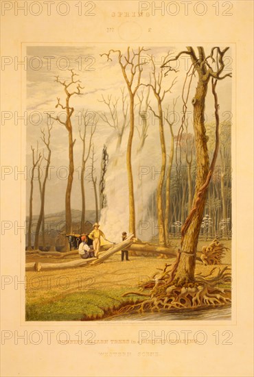 Spring--Burning fallen trees in a girdled clearing--Western scene / engraved by W.J. Bennett N.A. from the original painting by G. Harvey A.N.A.; Bennett, W. J. (William James), 1787-1844, engraver; Harvey, George, approximately 1800-1878 , artist; c1841.; 1 print : engraving and aquatint, color.; Men at work on the land, cutting and burning trees.