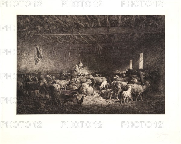 Charles Ãâmile Jacque (French, 1813 - 1894). The Large Sheepfold (La Grande Bergerie), 1859. Etching and drypoint (and according to Guiffrey there is also burin work in this second state) on wove paper. Plate: 386 mm x 531 mm (15.2 in. x 20.91 in.). Second of two states.