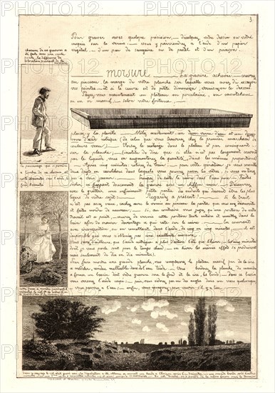 Adolphe Martial Potémont (French, 1828 - 1883). Letter on the Elements of Etching (Lettre sur les éléments de la gravure Ã  l'eau-forte), third sheet, 1864. From Lettre sur les éléments de la gravure Ã  l'eau-forte. Etching.