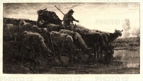 Charles Ãâmile Jacque (French, 1813 - 1894). Herd of Cows at the Watering Place (Troupeau de vaches a l'abreuvoir), 1878. Drypoint and roulette on Asian wove paper. Plate: 142 mm x 251 mm (5.59 in. x 9.88 in.). Third of five states.