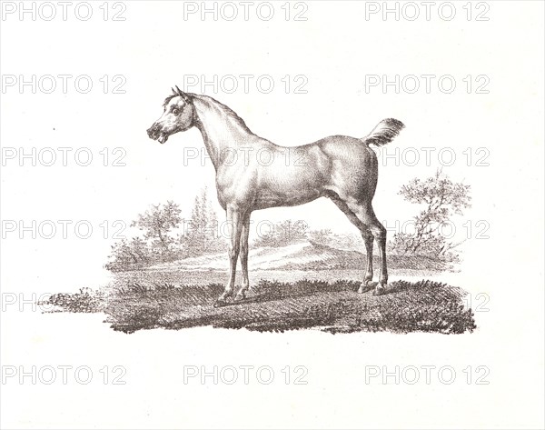 Alois Senefelder (German, 1771 - 1834). A Crayon Drawing, from â€úReceuil Papryographiqueâ€ù, 1820. From Premiers Essais de l'impression chimique sur cartons lithographiques.... Lithograph.