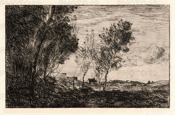 Jean-Baptiste-Camille Corot (French, 1796 - 1875). In the Dunes: Souvenir of the Woods at the Hague, 1869. Etching on laid paper. Plate: 131 mm x 197 mm (5.16 in. x 7.76 in.). Second of two states.