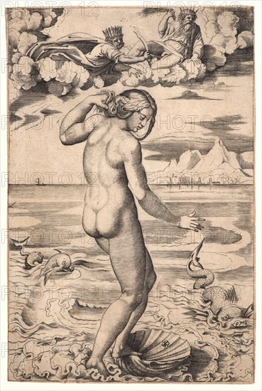 Marco Dente (aka Marco da Ravenna, Italian, ca. 1486-1527) after Raphael (Italian, 1483 - 1520). Venus, ca. 1516. Engraving on laid paper. Plate: 265 mm x 175 mm (10.43 in. x 6.89 in.). First of two states.