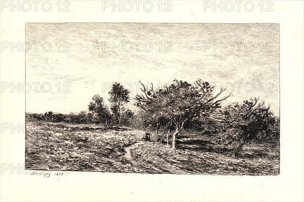 Charles FranÃ§ois Daubigny (French, 1817 - 1878). Apple Trees at Auvers (Pommiers Ã  Auvers), 1877. Etching on laid paper. Plate: 143 mm x 242 mm (5.63 in. x 9.53 in.). Third of four states.