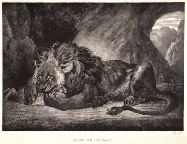 EugÃ¨ne Delacroix (French, 1798 - 1863). Lion of the Atlas Mountains (Lion d'Atlas), 1829. Lithograph. Fourth state.