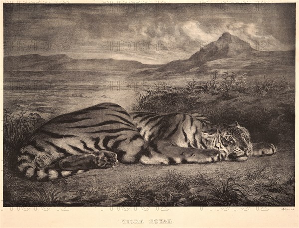 EugÃ¨ne Delacroix (French, 1798 - 1863). Tigre Royal, 1829. Lithograph. Undescribed state, without (?) address.