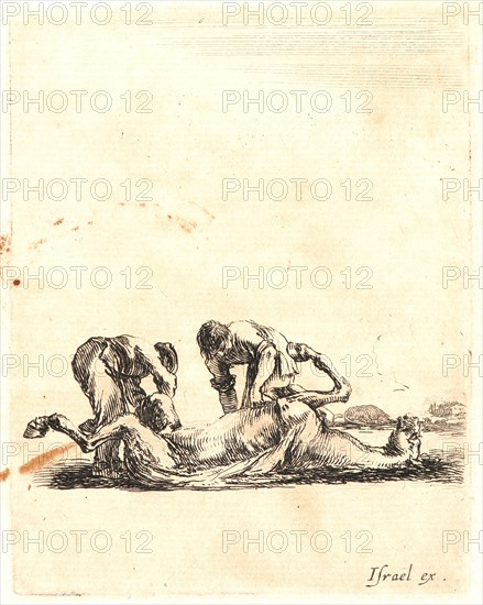 Stefano Della Bella (Italian, 1610 - 1664). Deux equarisseurs ecorchent un cheval, 1642-1645. From Divers exercises des cavaliers. Etching on laid paper. First of two states.