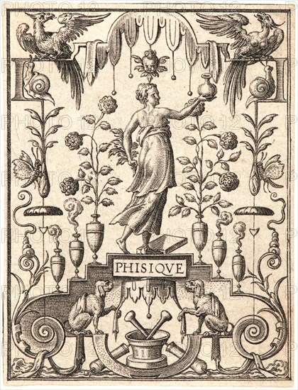 Etienne Delaune (aka Ãâtienne Delaune) (French, ca. 1519-1583). La Physique. From The Sciences. Engraving.