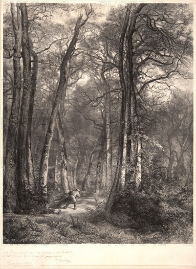 Karl Bodmer (Swiss, 1809 - 1893) after Jean-FranÃ§ois Millet (French, 1814 - 1875). In the Forest or Tall Timber (En ForÃªt ou Haute Futaie), ca. 1851. Lithograph. Image: 632 mm x 500 mm (24.88 in. x 19.69 in.). Second state.