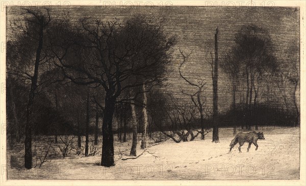 Félix Bracquemond (French, 1833 - 1914). Winter (Hiver, ou le Loup dans la Neige). Etching. Third state.