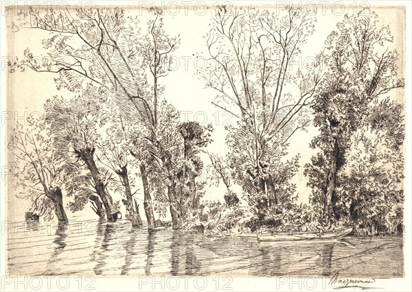 Félix Bracquemond (French, 1833 - 1914). Willows (Les Saules des Mottiaux), 19th century. Etching. First state.