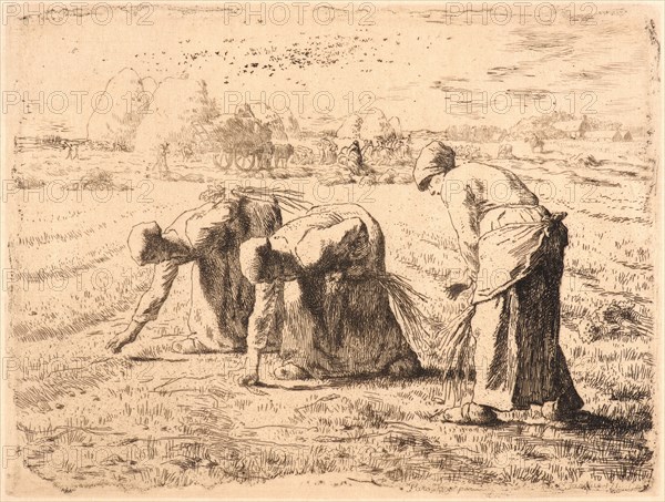 Jean-FranÃ§ois Millet (French, 1814 - 1875). The Gleaners (Les Glaneuses), ca. 1855-1856. Etching printed in brown ink on Asian laid paper. Plate: 190 mm x 254 mm (7.48 in. x 10 in.). Second of two states.