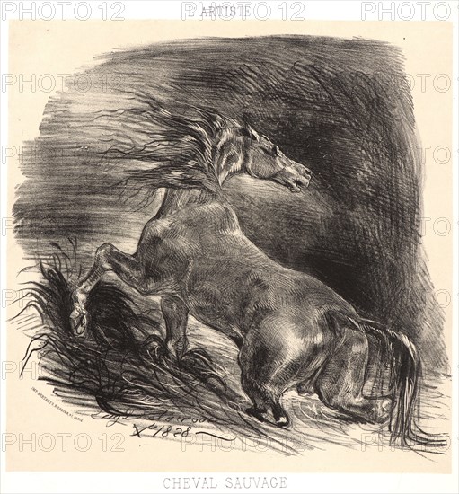 EugÃ¨ne Delacroix (French, 1798 - 1863). A Wild Horse Emerging from Water (Cheval sauvage sortant de l'eau), 1828. Lithograph. Second of two states.