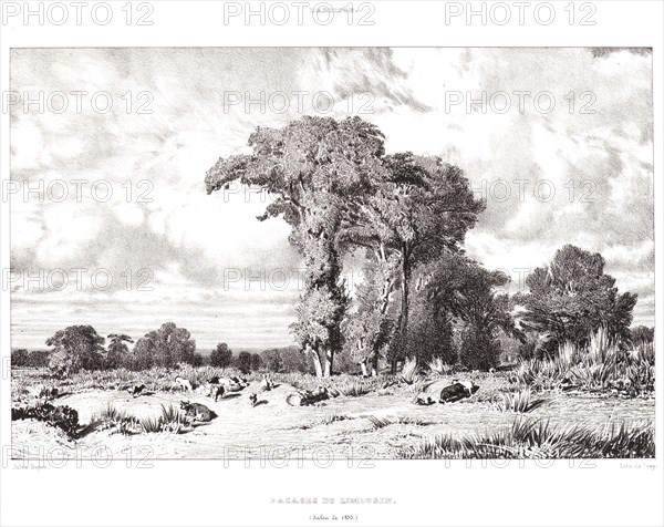 Jules Dupré (French, 1811 - 1889). Pastureland in the Limousin (Pacages du Limousin), 1835. Lithograph on wove paper. Image: 137 mm x 215 mm (5.39 in. x 8.46 in.). Second of three states, with letters.