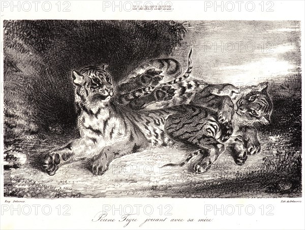 EugÃ¨ne Delacroix (French, 1798 - 1863). Young Tiger Playing with its Mother (Jeune Tigre jouant avec sa MÃªre), 1831. Lithograph.