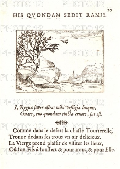 Jacques Callot (French, 1592 - 1635). Tourterelle Volant dans le Desert, 17th century. From The Life of the Virgin in Emblems (La Vie de la MÃ¨re de Dieu représentée par des. Etching. First of two states.