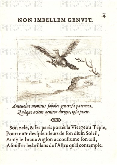Jacques Callot (French, 1592 - 1635). L'Aigle et L'Aiglon, 17th century. From The Life of the Virgin in Emblems (La Vie de la MÃ¨re de Dieu représentée par des. Etching. First of two states.