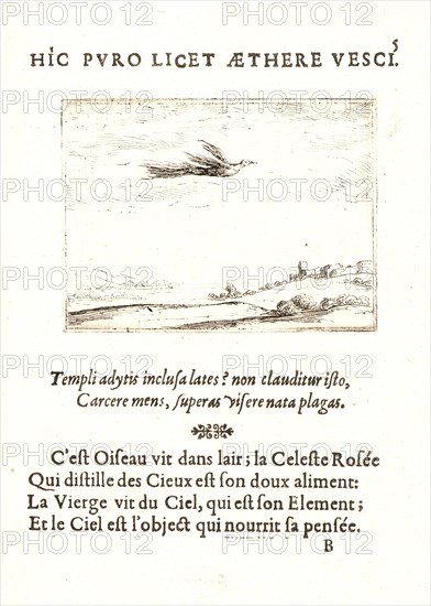 Jacques Callot (French, 1592 - 1635). L'Oisseau de Paradis, 17th century. From The Life of the Virgin in Emblems (La Vie de la MÃ¨re de Dieu représentée par des. Etching. First of two states.