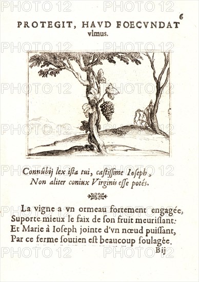 Jacques Callot (French, 1592 - 1635). Le Cep de Vigne, 17th century. From The Life of the Virgin in Emblems (La Vie de la MÃ¨re de Dieu représentée par des. Etching. First of two states.