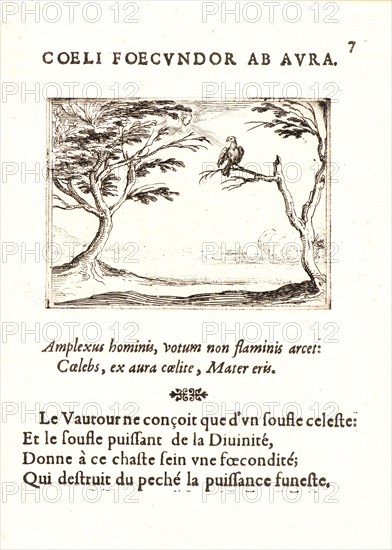 Jacques Callot (French, 1592 - 1635). Le Vautour, 17th century. From The Life of the Virgin in Emblems (La Vie de la MÃ¨re de Dieu représentée par des. Etching. First of two states.