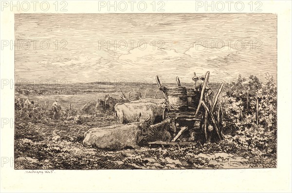Charles FranÃ§ois Daubigny (French, 1817 - 1878). The Grape Harvest, 1865. Etching on laid paper. Plate: 239 mm x 369 mm (9.41 in. x 14.53 in.). Second of five states.