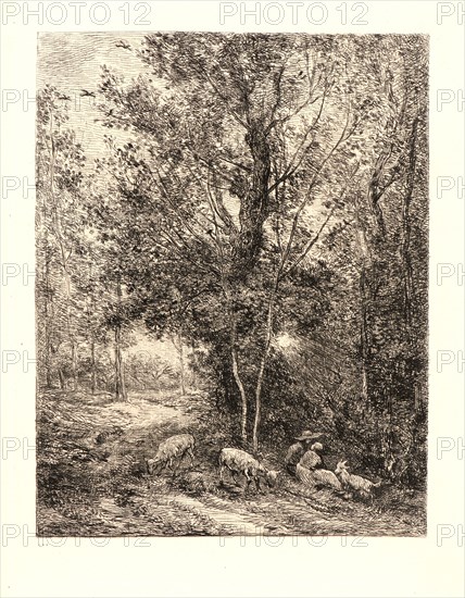 Charles FranÃ§ois Daubigny (French, 1817 - 1878). The Shepherd and the Shepherdess (Le Berger et la BergÃ¨re), 1874. Etching on laid paper. Plate: 287 mm x 221 mm (11.3 in. x 8.7 in.). Eighth of eight states.