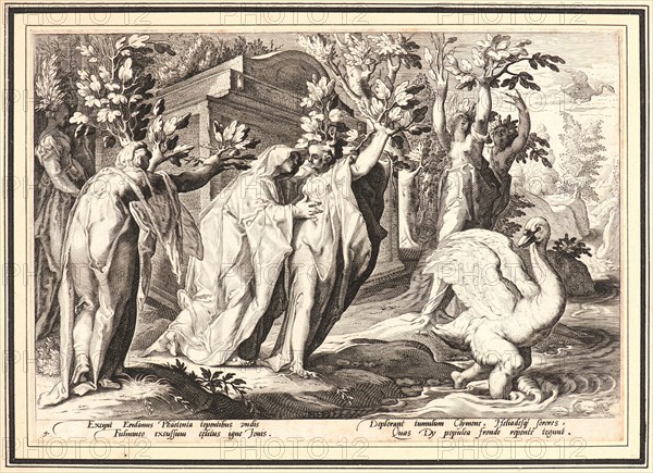 Anonymous after Hendrick Goltzius (Dutch, 1558 - 1617). Phaeton's Sisters Changed into Poplars, and Cygnus into a Swan, ca. 1590. From Metamorphoses. Engraving on wove paper. Plate: 178 mm x 254 mm (7.01 in. x 10 in.). Undescribed first state.
