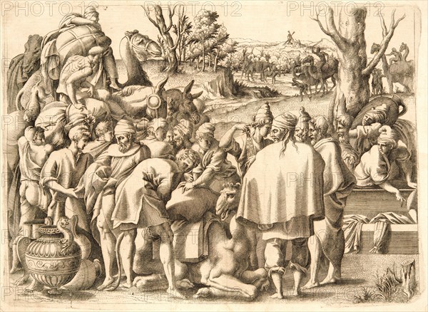Attributed to Master I. [*]. V. (School of Fontainebleau, French or Italian, active 1540â€ì1545) after Luca Penni (Italian, 1500/1504-1577). Men Gathered around a Camel, ca. 1540- 1545. Etching printed in brown ink on laid paper. Plate: 305 mm x 430 mm (12.01 in. x 16.93 in.).