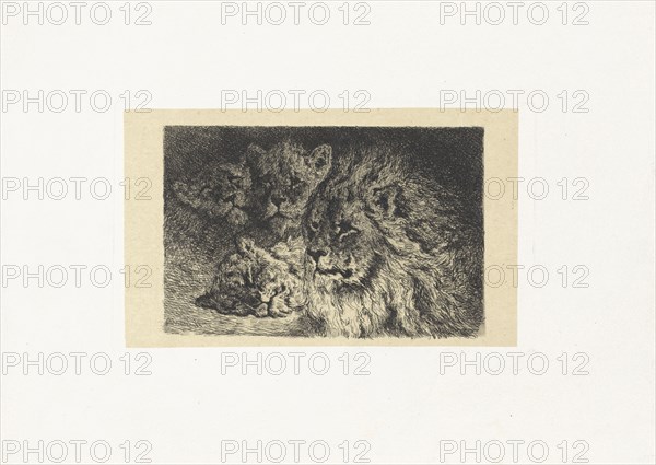 Lion and lioness, Frederik Willem ZÃ¼rcher, 1845 - 1894