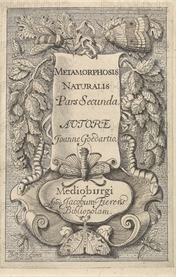 Title page for Johannes Goedaerts "Metamorphosis Naturalis", part 2, Middelburg 1667, decorated with insects, such as a bee, a butterfly, and two moths, print maker: Johannes Goedaert (mentioned on object), Dating 1667