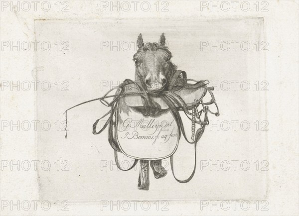 Horse head with saddle and reins in the mouth, print maker: Joannes Bemme, Gerrit Malleyn, c. 1800 - in or before 1841 and/or 1801