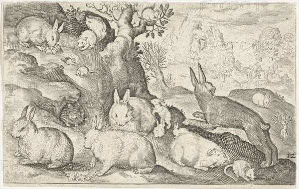 rabbits, squirrel, guinea pig and mouse, Nicolaes de Bruyn, 1594