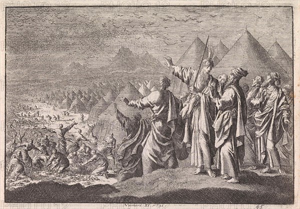 Quail in the Desert, Jan Luyken, Pieter Mortier, 1703 - 1762