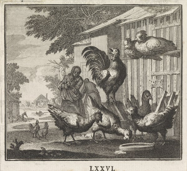 Emblem: Chicken, Caspar Luyken, Christoph Weigel, 1695 - 1705