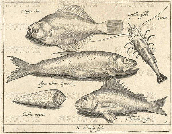 Shrimp and eel, Nicolaes de Bruyn, 1581 - 1656
