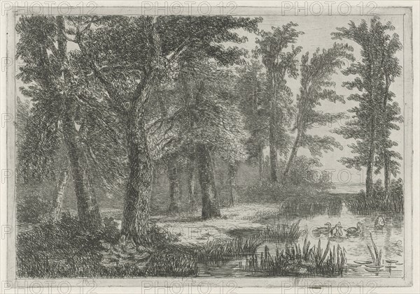 forest scene with a natural pond with ducks, print maker: Hermanus Jan Hendrik van Rijkelijkhuysen, 1823 - 1883