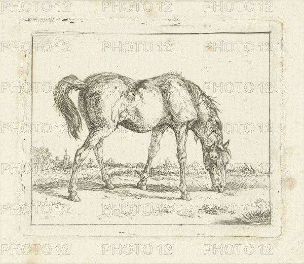Grazing horse, Jan Dasveldt, 1780 - 1855
