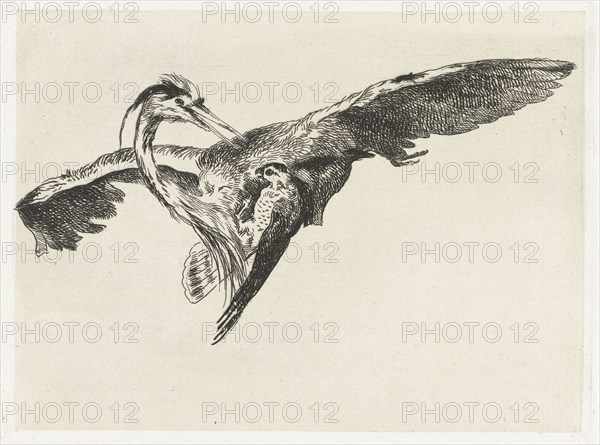 A falcon is a heron in flight, Guillaume Anne van der Brugghen, c. 1826 - in or before 1889