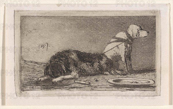 Two tethered dogs, Jan Weissenbruch, 1837 - 1880