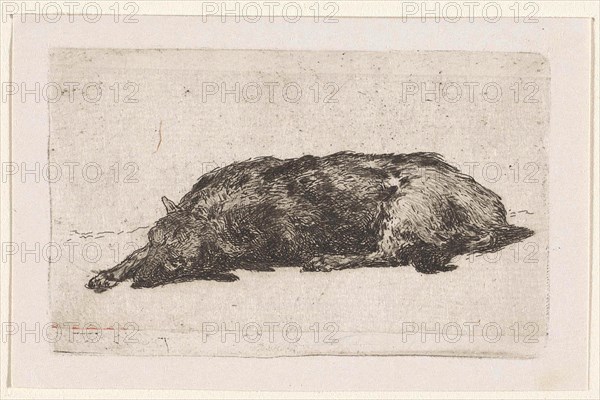Sleeping dog, Jan Weissenbruch, 1837 - 1880